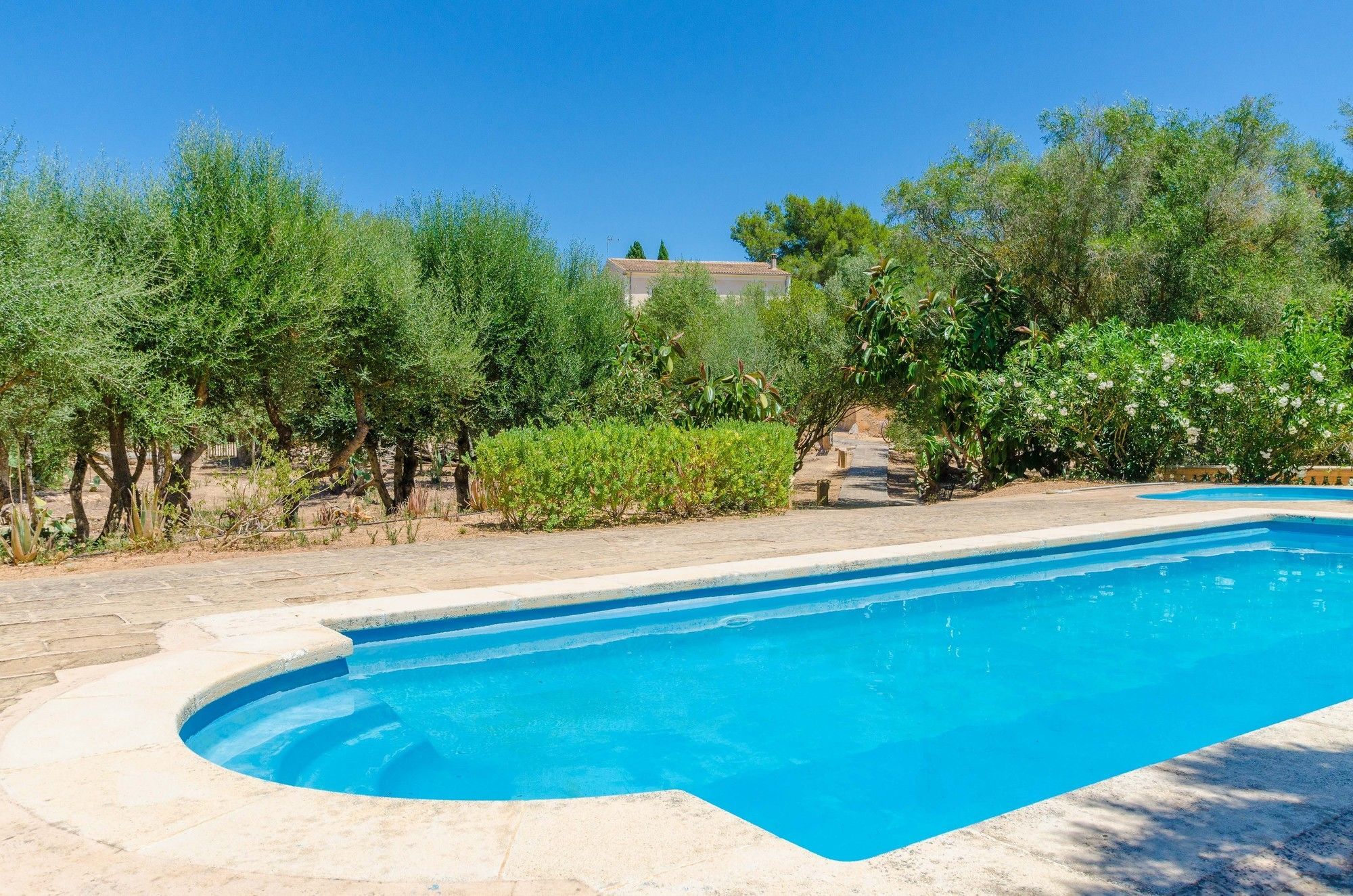 Sureda Secadero Manacor (Mallorca)